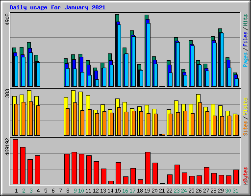 Daily usage for January 2021