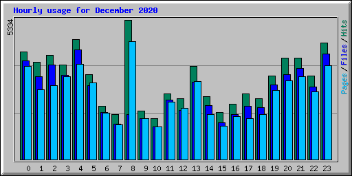 Hourly usage for December 2020