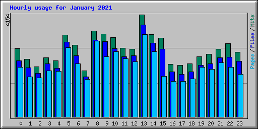 Hourly usage for January 2021