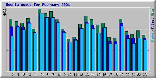 Hourly usage for February 2021