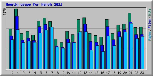 Hourly usage for March 2021