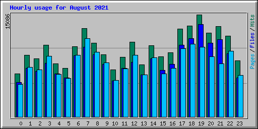 Hourly usage for August 2021