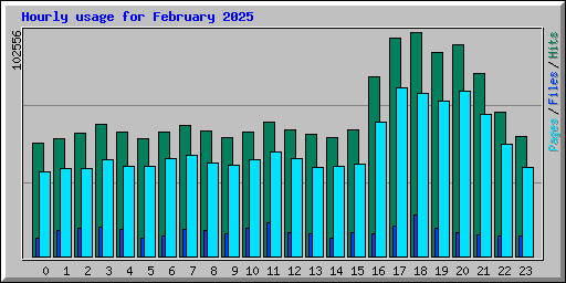 Hourly usage for February 2025
