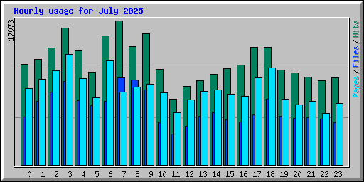 Hourly usage for July 2025