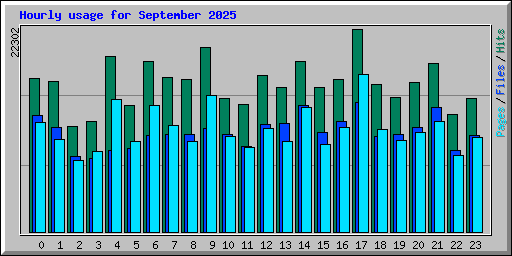 Hourly usage for September 2025